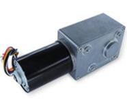 A5882-4260 Worm DC Brushless Gear Motor 24V