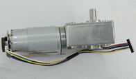 A58SW-555B Worm Wheel DC Gear Motor 12-24V