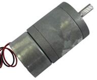 JGA25-300 Micro DC Gear Motor (D Shaft) 3V 6V