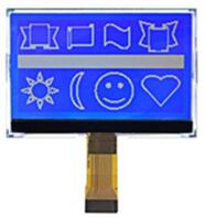 24P COG 19296 LCD Screen ST75256 IC Backlight