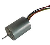 DC2838 High Speed DC Brushless Motor with Ball Bearing