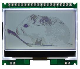 20PIN White/Blue COG 16080 LCD Module ST75256 SPI/IIC/Parallel